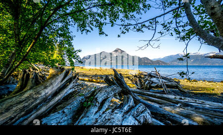 Driftwood sulla spiaggia di Porteau Cove su Howe Sound con incudine isola in background. Porteau Cove si trova lungo l'Autostrada 99 tra Vancouver e Squam Foto Stock