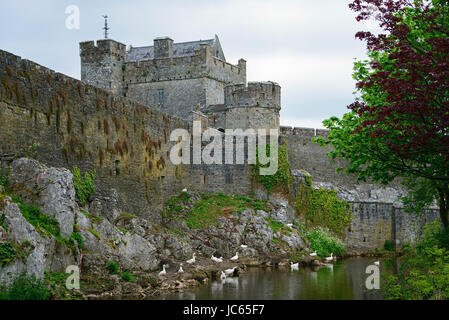 Castello, Castello di Cahir, Caher, Castello di Cahir, Irlanda, Gran Bretagna, Schloss, Irlanda, Großbritannien Foto Stock