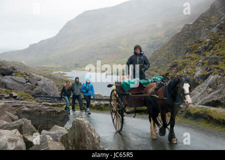 Carrello, valley, Gap di Dunloe, Irlanda, Gran Bretagna / Gran Bretagna, Kutsche, Tal, Irlanda, Grossbritannien / Großbritannien Foto Stock