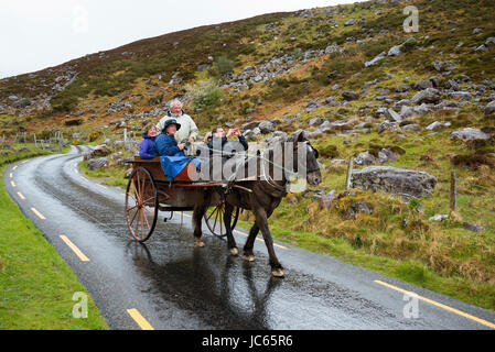 Carrello, valley, Gap di Dunloe, Irlanda, Gran Bretagna / Gran Bretagna, Kutsche, Tal, Irlanda, Grossbritannien / Großbritannien Foto Stock