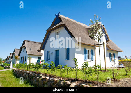 Poel, cottage estivi e sull'isola di Poel, Ferienhaeuser auf der Insel Poel Foto Stock