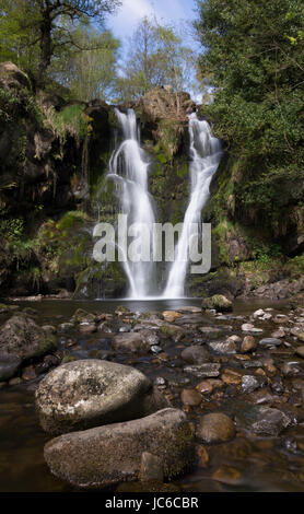 Posforth Gill, Valle di desolazione, vicino a Bolton Abbey, Yorkshire Dales, Regno Unito. Foto Stock