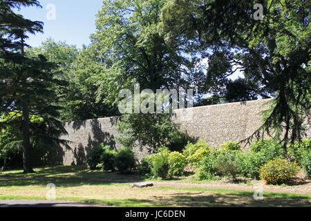 A nord-est di pareti, Giubileo Park, New Park Road, Chichester, West Sussex, in Inghilterra, in Gran Bretagna, Regno Unito, Gran Bretagna, Europa Foto Stock