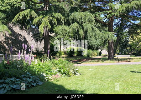 A nord-est di pareti, Giubileo Park, New Park Road, Chichester, West Sussex, in Inghilterra, in Gran Bretagna, Regno Unito, Gran Bretagna, Europa Foto Stock