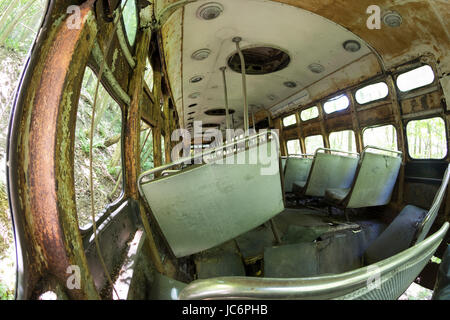 Arrugginimento interno di abbandono dei trolley car con sedi di metallo nei boschi. Foto Stock