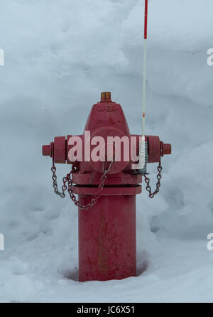 Red idrante di fuoco nella neve profonda in inverno Foto Stock
