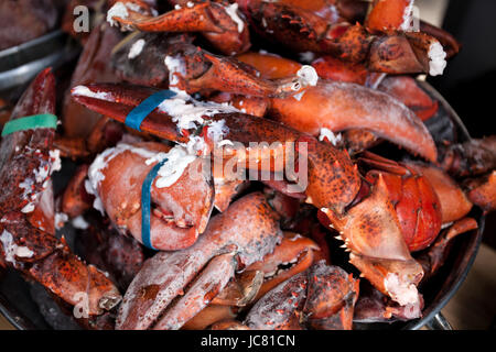 Primo piano della materie lobster artigli nel recipiente Foto Stock