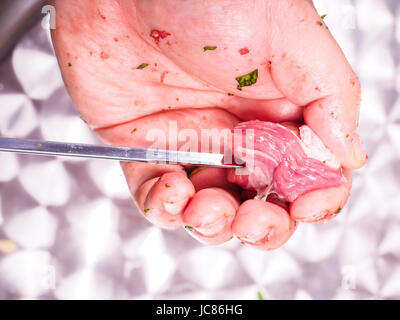 Primo piano di uno chef entrando in pezzi di carne su uno spiedino, rendendo shish kebab Foto Stock