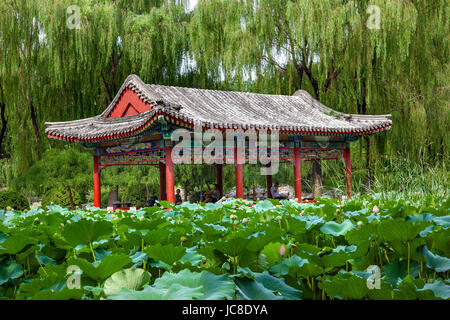 Red Pavilion pastiglie Lotus Garden tempio di Sun City Park, Pechino, Cina Willow verdi alberi Foto Stock