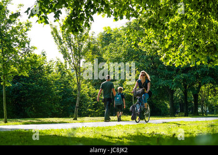 Aberystwyth Wales UK, mercoledì 14 giugno 2017 UK Meteo: la gente a piedi e in bicicletta lungo il viale alberato viale Plascrug su una luminosa calda mattina di sole in Aberystwyth Wales. Le temperature sono oggi in previsione di raggiungere alte 20's centigrado in alcune parti del sud est della Gran Bretagna Photo credit: Keith Morris/Alamy Live News Foto Stock