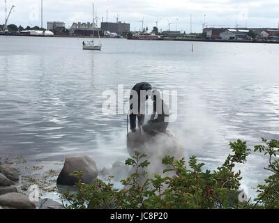 Copenhagen, Danimarca. 14 Giugno, 2017. Lavoratori chiaro il vandalismo Sirenetta scultura a Copenhagen, in Danimarca, il 14 giugno 2017. Danimarca iconici scultura della Sirenetta è stato vandalizzato nuovamente sulla notte di martedì, due settimane dopo che esso è stato dipinto di rosso in un evidente segno di protesta contro la caccia alla balena nel paese autonoma delle Isole Faerøer. Credito: Xia Guangpu/Xinhua/Alamy Live News Foto Stock