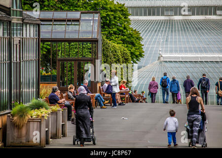 Glasgow 14 Giugno 2017. Leggermente nuvolo ma calda giornata nel giardino botanico. Credito: ALAN OLIVER/Alamy Live News Foto Stock