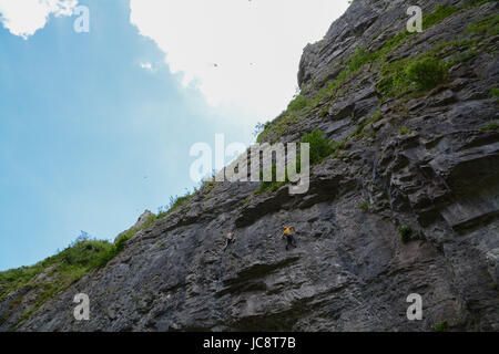 Cheddar Gorge, Somerset, Regno Unito. 14 giugno 2017. Regno Unito Meteo. Sole e caldo per i visitatori e gli scalatori simili a Cheddar Gorge oggi. Credito: Simon Maycock/Alamy Live News Foto Stock