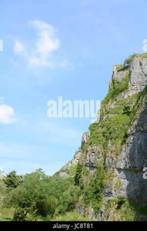 Cheddar Gorge, Somerset, Regno Unito. 14 giugno 2017. Regno Unito Meteo. Sole e caldo per i visitatori e gli scalatori simili a Cheddar Gorge oggi. Credito: Simon Maycock/Alamy Live News Foto Stock