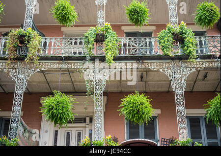 Vegetazione lussureggiante decorare il ferro battuto Dettagli filigrana di un tipico balcone di una doppia galleria di Palazzo nel Quartiere Francese di New Orleans, Foto Stock