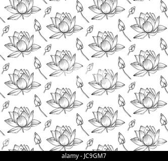 Lotus acqua giglio vettore splendidi fiori in linea, in bianco e nero tattoo art illustrazione. Disegnata a mano lineare fine fioritura di piante, floreali, botanica moderna Illustrazione Vettoriale