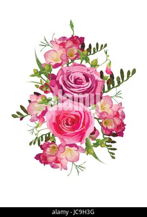 Fiore rosa rosa fresia, iperico, pisello dolce lascia erbe bella bella primavera estate fiore bouquet illustrazione vettoriale elemento. Vista superiore eleganti Illustrazione Vettoriale