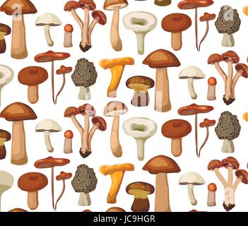 Funghi di Bosco funghi commestibili chanterelle tartufo percini cap boletus greaser miele agaric russule seamless pattern. Il vettore orizzontale lato closeup Illustrazione Vettoriale