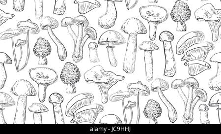 Foresta di funghi commestibili chanterelle oyster percini cap boletus greaser miele agaric aspen russule seamless pattern . Il vettore orizzontale lato closeup vi Illustrazione Vettoriale