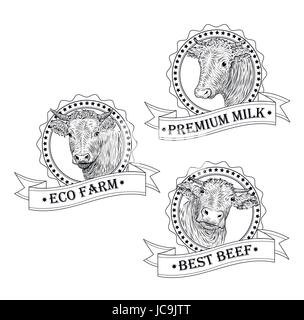 Vacca, Vitello, bull muso grazioso faccia collezione set variazione sticker icona tag etichetta di testo simbolo eco agriturismo carni bovine nastro. Vector bellissima piazza segno contorno Illustrazione Vettoriale