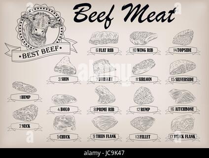 Beef cow bull carcassa intera tagli tagliare parti schema infographics segno cartello poster macellai guida: collo, chunk, punta di petto il filetto scamone. Vector molto bello Illustrazione Vettoriale