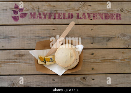 Lavanda scone con burro su un piatto di carta sul tavolo di legno a Mayfield Fattoria di Lavanda in Banstead, Surrey, Inghilterra, Regno Unito. Foto Stock