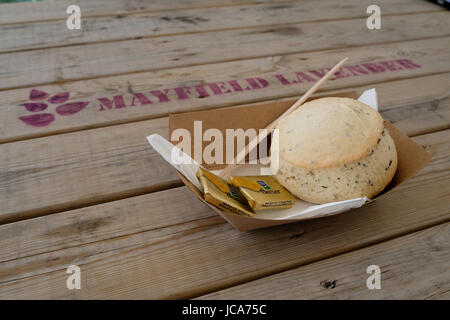 Lavanda scone con burro su un piatto di carta sul tavolo di legno a Mayfield Fattoria di Lavanda in Banstead, Surrey, Inghilterra, Regno Unito. Foto Stock