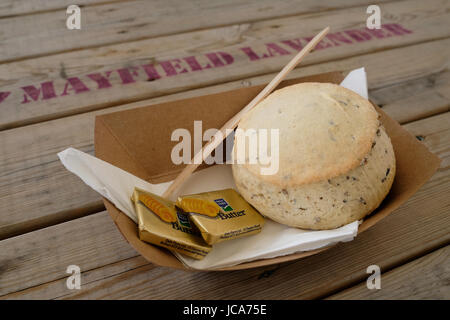 Lavanda scone con burro su un piatto di carta sul tavolo di legno a Mayfield Fattoria di Lavanda in Banstead, Surrey, Inghilterra, Regno Unito. Foto Stock
