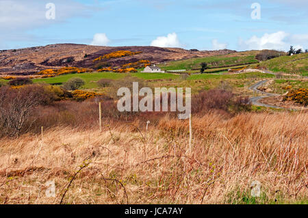 Paesaggio pastorale sulla strada per Fanad Head Lighthouse, County Donegal, Irlanda Foto Stock