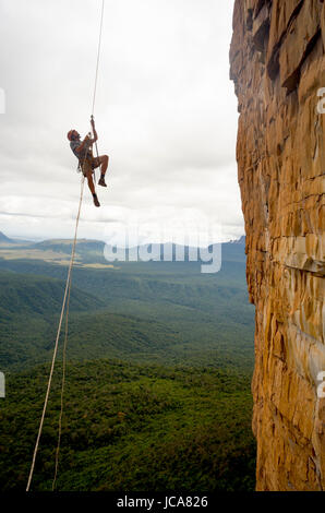 Stephane Hanssens gioca con jumar - Venezuela spedizione jungle inceppamento a Amuri tepuy e Tuyuren cascate, con Nicolas Favresse e Sean Villanueva, Stephane Hanssens e Jean louis Wertz. Il team di arrampicata libera di nuovo climbingroutes sul tepuy, che è di 3 giorni di distanza a piedi dal villaggio di Yunek vicino a Santa Elena e il salto angel(canaima). Foto Stock