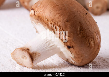 Frische braune Steinchampignons als Nahaufnahme auf einem rustikalen weißem Holzbrett Foto Stock