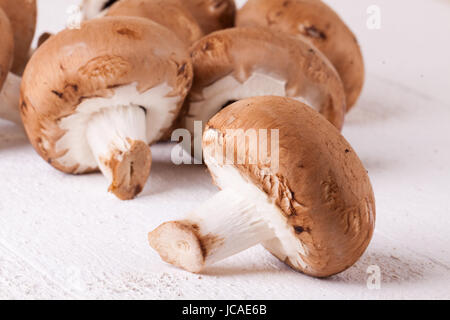 Frische braune Steinchampignons als Nahaufnahme auf einem rustikalen weißem Holzbrett Foto Stock