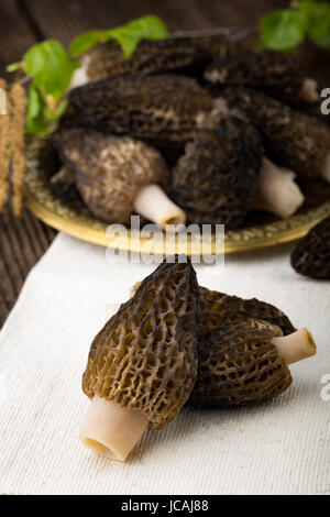 Fresh morchella conica da boschi, preparato per la cottura. Funghi di stagione. Foto Stock