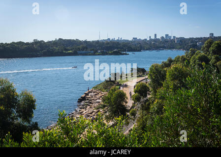 Barangaroo Riserva, un nuovo progetto di rigenerazione creazione di capezzagna paesaggistico parco aperto lo spazio, Sydney, NSW, Australia Foto Stock