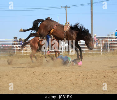 Cowboy getting contrastato off una sella bronc Foto Stock