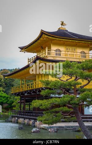 Tempio d'oro, Kinkaku-ji è uno Zen tempio buddista, Kyoto, Giappone. Foto Stock