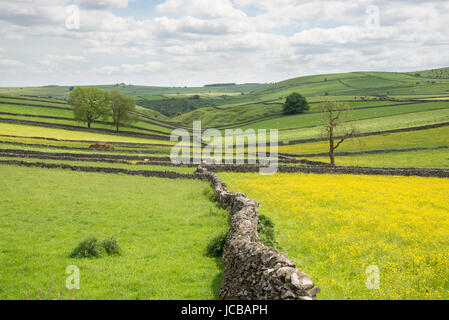 Campi verdi e pareti di calcare a Litton villaggio nel Peak District, Derbyhsire, Inghilterra. Foto Stock