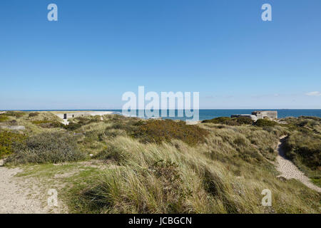 Alcuni di seconda Guerra Mondiale bunkers sono costruiti nelle dune di sabbia vicino a Skagen (Danimarca, Jutland del Nord) e la giunzione di Skagerrak (mare del Nord) e del Kattegat (mar Baltico). Foto Stock