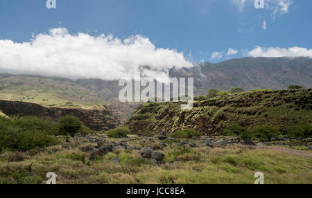 Strada oltre Hana intorno al lato posteriore di Haleakala a Maui Foto Stock