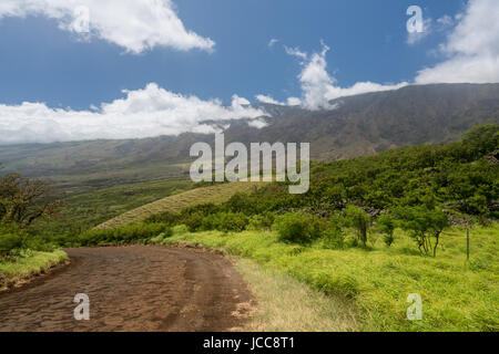 Strada oltre Hana intorno al lato posteriore di Haleakala a Maui Foto Stock