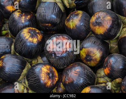 Frutto di Sugar Palm o Asian palmyra palm background Foto Stock