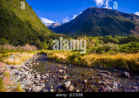 Piccola insenatura in Milford Sound Parco Nazionale Fjordland, in Nuova Zelanda. Foto Stock