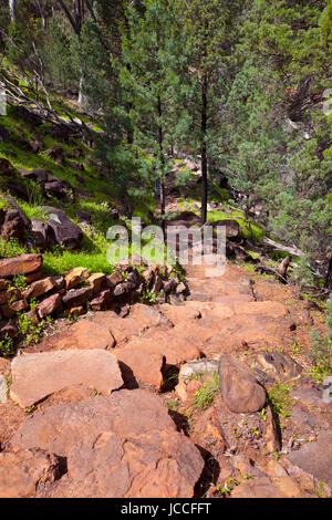 Foto scattata su una quattro giorni di vacanza nel mese di ottobre del 2016 durante il soggiorno a Willow Springs Station, Jackaroos Cottage, Flinders Ranges , South Australia Foto Stock