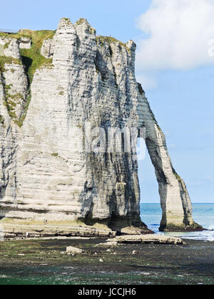 Capo con arco sul canale inglese spiaggia di Eretrat cote d'alabastro, Francia Foto Stock