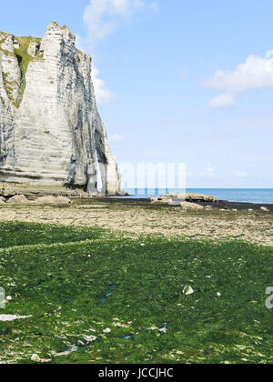 Scogliera con arco sul canale inglese spiaggia durante la bassa marea di Eretrat cote d'alabastro, Francia Foto Stock