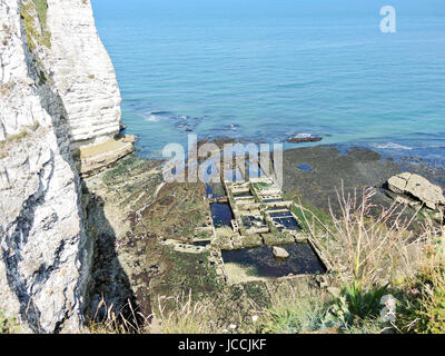 Vecchia fattoria di ostriche e cliff sul canale inglese spiaggia di Eretrat cote d'alabastro, Francia Foto Stock