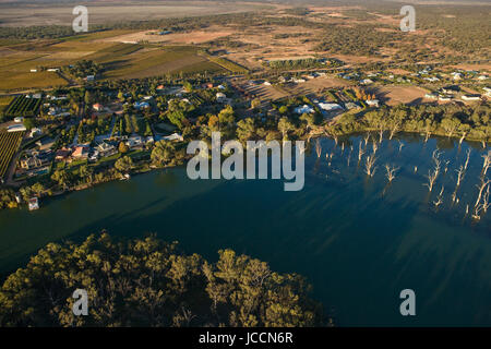 Un' antenna veiw del Fiume Murray a Gol Gol, una piccola città nel NSW lato del fiume vicino a Mildura. I vigneti e i frutteti si stanno facendo strada per residuo Foto Stock