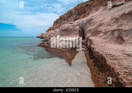 Isola di Espiritu Santo, La Paz Baja California Sur MESSICO Foto Stock