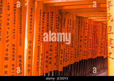 Fushimi Inari Taisha, Torii gates. Foto Stock