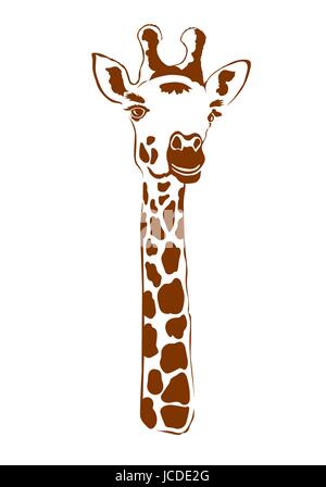 La giraffa su sfondo bianco isolato Illustrazione Vettoriale